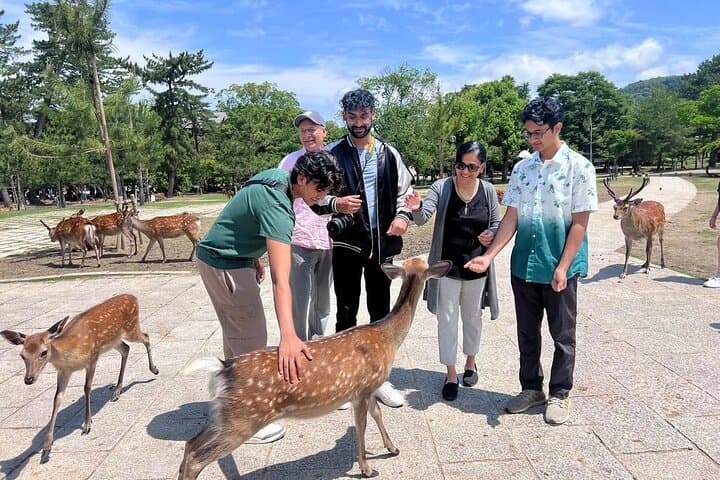 Nara Explore Top Highlights by Private Walking Tour — photo 7