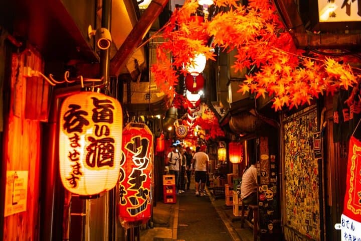 Tokyo Shinjuku Historical & Backstreets Walking Tour — photo 13