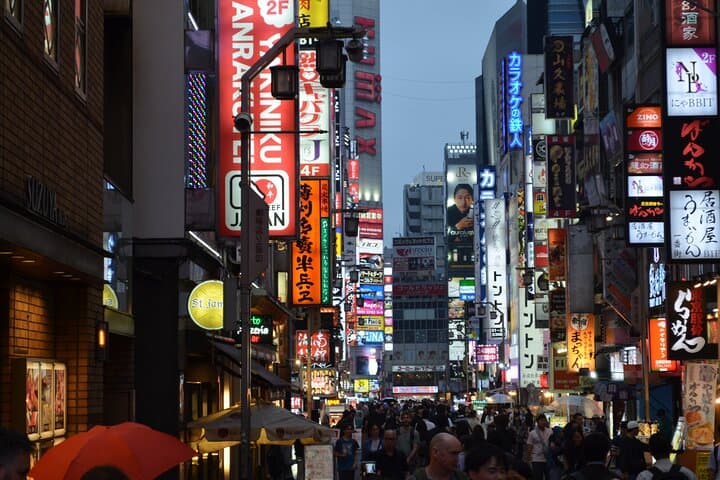 Tokyo Fall Foliage & Pop Culture Walking Tour Shinjuku to Shibuya — photo 7