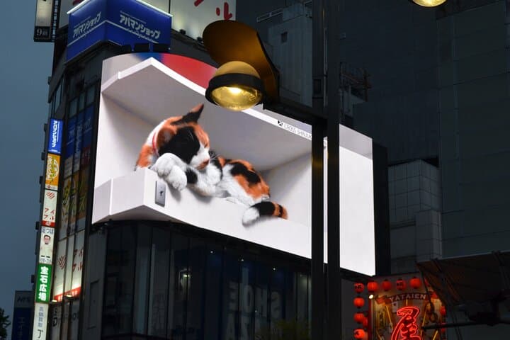 Tokyo Fall Foliage & Pop Culture Walking Tour Shinjuku to Shibuya — photo 8