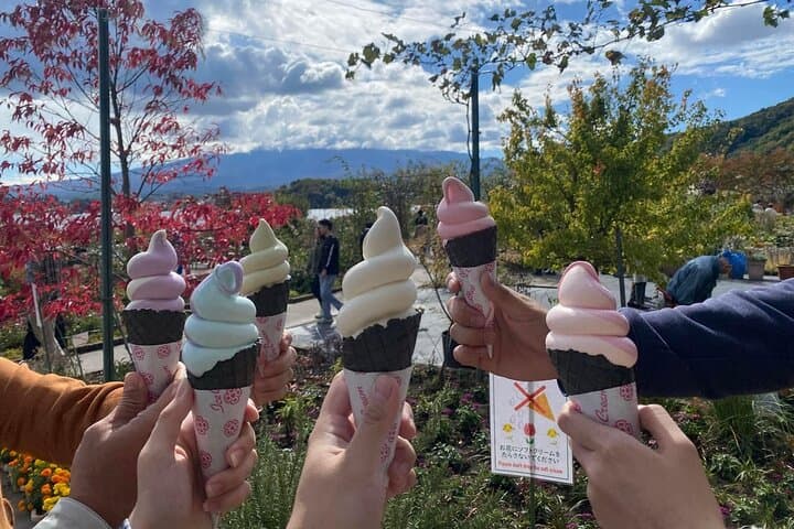 VIP Mt. Fuji and Hakone Customized Private One Day Tour. — photo 18