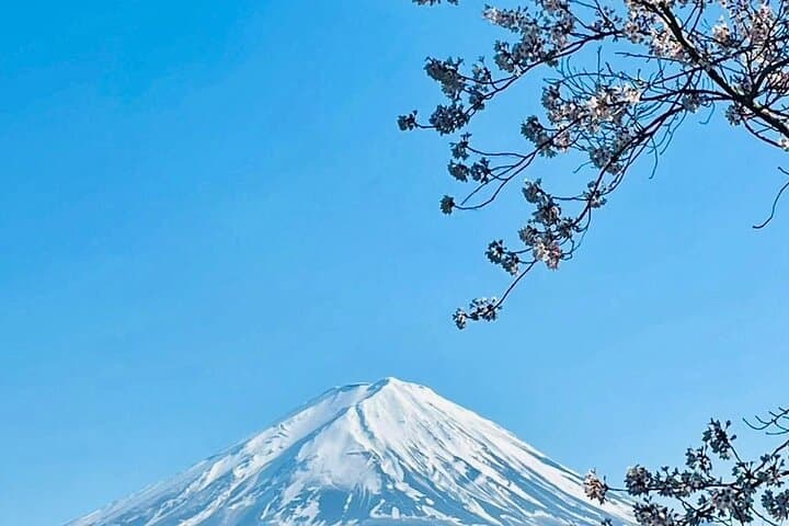 VIP Mt. Fuji and Hakone Customized Private One Day Tour. — photo 19