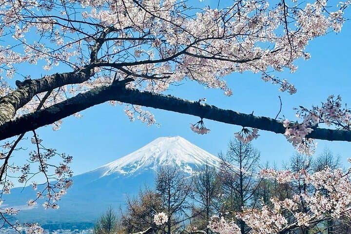 VIP Mt. Fuji and Hakone Customized Private One Day Tour. — photo 20
