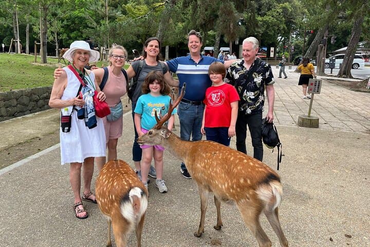 Shore Excursion: Full Day Private Nara Tour from Osaka /Kobe port — photo 2