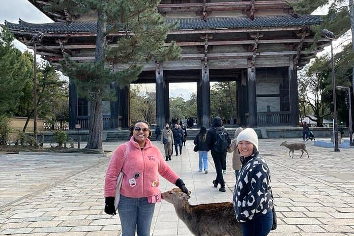 Shore Excursion: Full Day Private Nara Tour from Osaka /Kobe port — photo 11