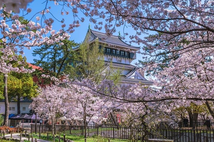 Moji Port, Karado Market, Kokura Castle & Miyajitake Shrine Tour — photo 2
