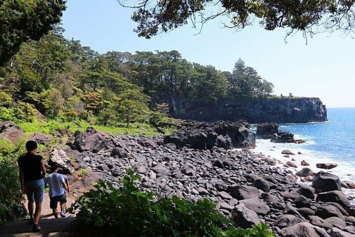 Izu Moa Art Museum Sky Trail Shuzenji Onsen Hot Spring 2-Day Tour — photo 4