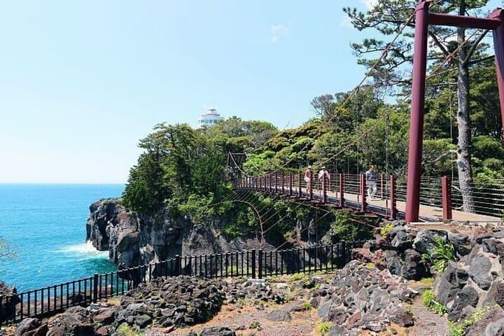 Izu Moa Art Museum Sky Trail Shuzenji Onsen Hot Spring 2-Day Tour — photo 6