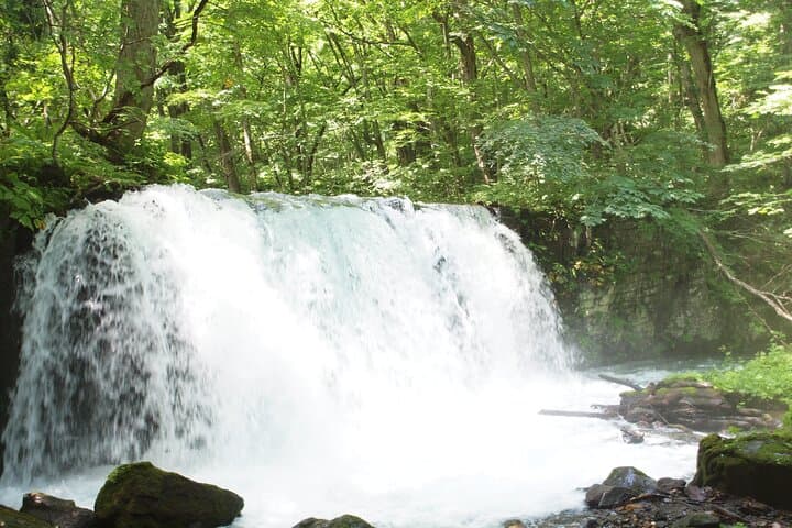 Full day Oirase Stream and Lake Towada Tour — photo 9