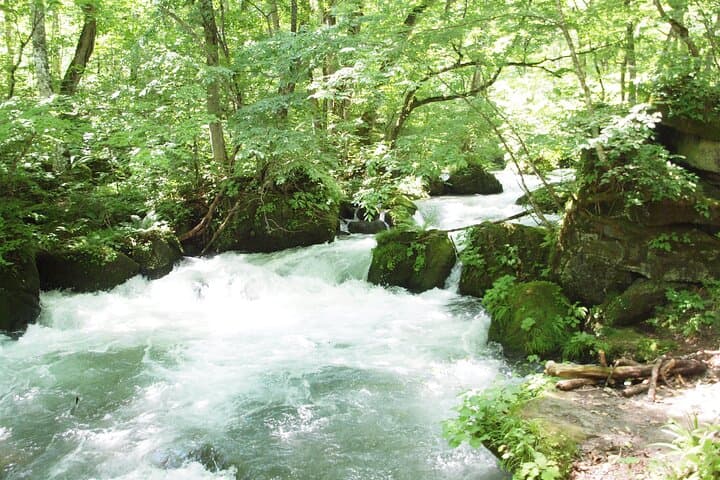 Full day Oirase Stream and Lake Towada Tour — photo 11