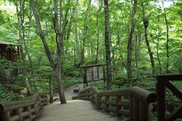 Full day Oirase Stream and Lake Towada Tour — photo 8