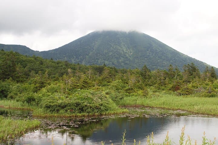 Full day Oirase Stream and Lake Towada Tour — photo 2