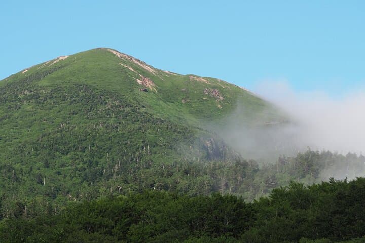 Full day Oirase Stream and Lake Towada Tour — photo 5