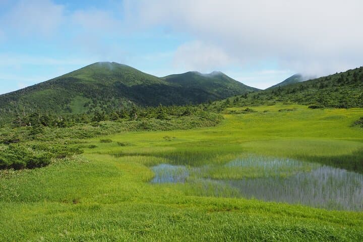 Full day Oirase Stream and Lake Towada Tour — photo 6