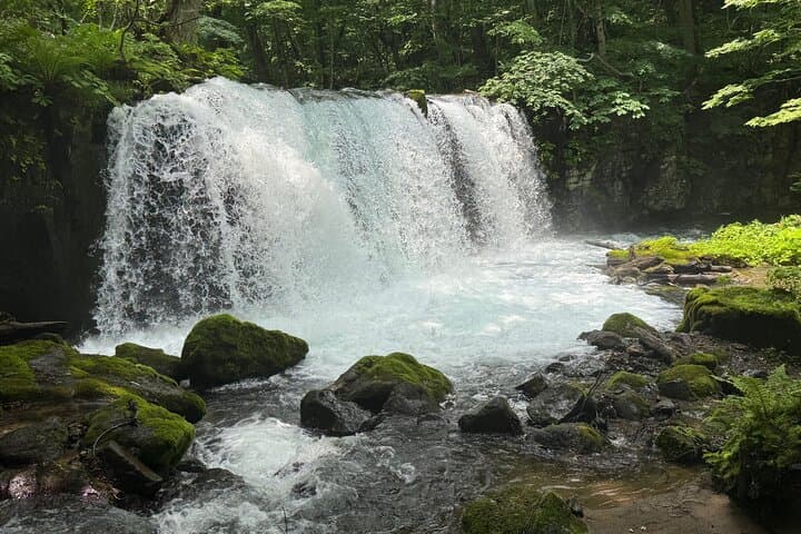 Full day Oirase Stream and Lake Towada Tour — photo 10