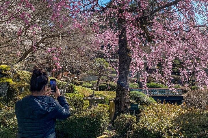 Hidden Fuji drive tour with a Local English speaking guide — photo 19