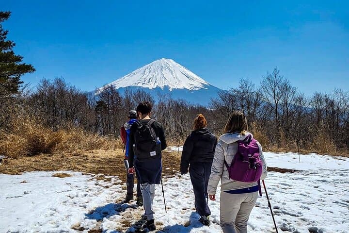 Private Local Hiking to enjoy the nature and culture of Mt.Fuji — photo 19