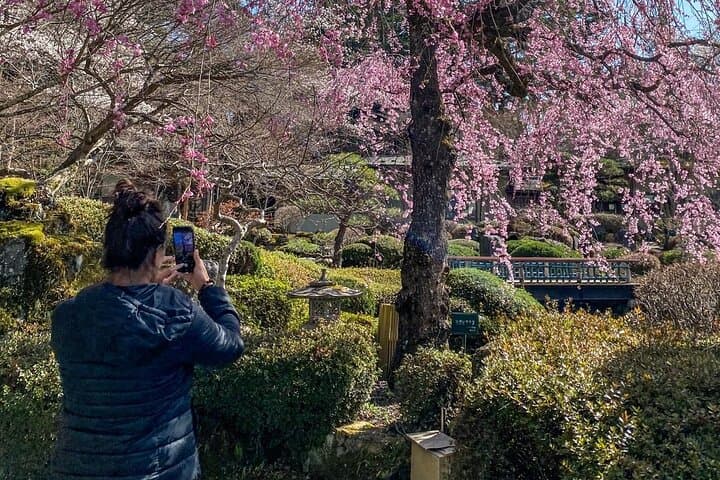 Private Local Hiking to enjoy the nature and culture of Mt.Fuji — photo 13