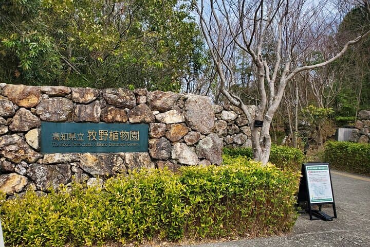 Kochi Private Tour for Shore Excursion — photo 3