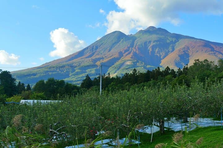 Tsugaru Fuji and Japan Sea Drive Tour by Car from Aomori Port — photo 4