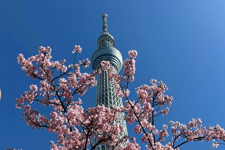 Akihabara Ultimate Anime & Gaming Tour with Maid Café Experience — photo 8