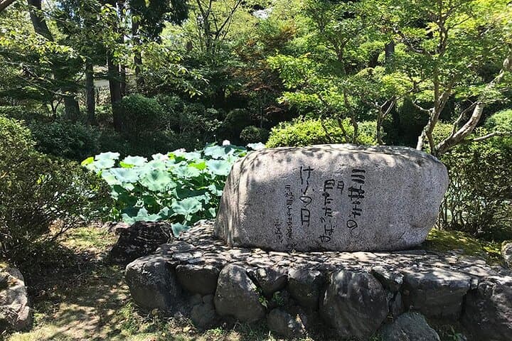 Okutama Forest Therapy Shinrin-yoku Tour with Lunch Options — photo 5