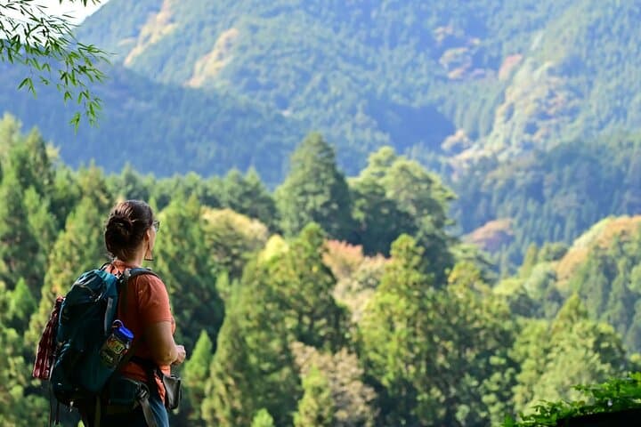 Okutama Forest Therapy Shinrin-yoku Tour with Lunch Options — photo 1