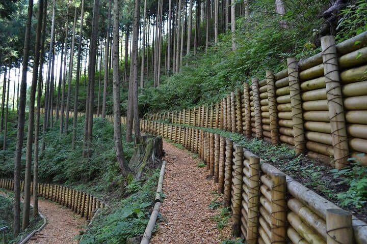 Okutama Forest Therapy Shinrin-yoku Tour with Lunch Options — photo 2