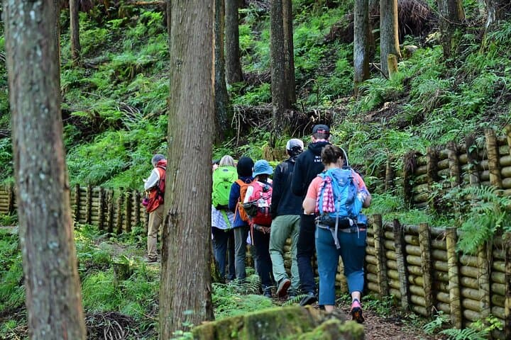 Okutama Forest Therapy Shinrin-yoku Tour with Lunch Options — photo 3