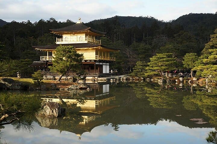 Okutama Forest Therapy Shinrin-yoku Tour with Lunch Options — photo 4