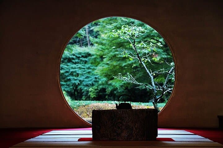 Okutama Forest Therapy Shinrin-yoku Tour with Lunch Options — photo 6