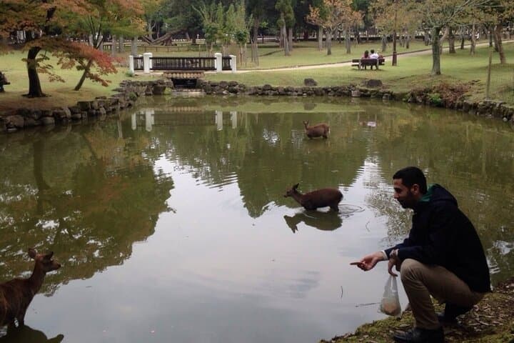 Shore Excursion: Full Day Private Nara Tour from Osaka /Kobe port — photo 17