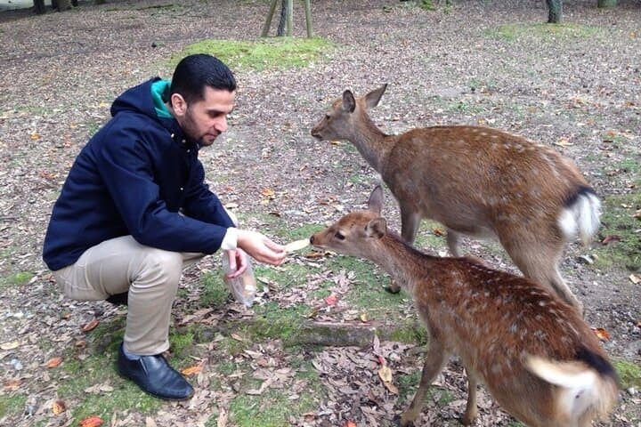 Shore Excursion: Full Day Private Nara Tour from Osaka /Kobe port — photo 18
