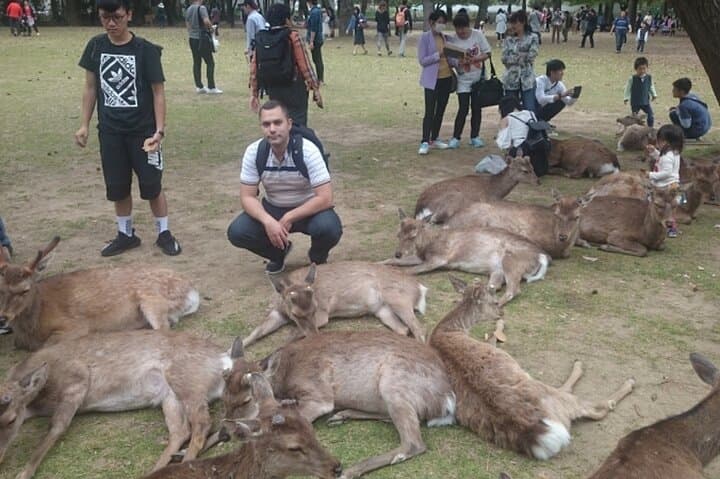 Shore Excursion: Full Day Private Nara Tour from Osaka /Kobe port — photo 19