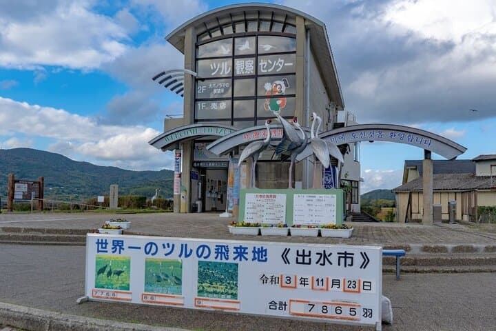 Kagoshima Crane Watching Tour (Nov. - Feb.) — photo 4