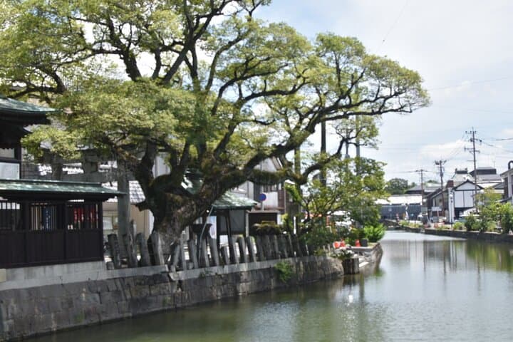 Yanagawa & Dazaifu Cultural Explorer — photo 6