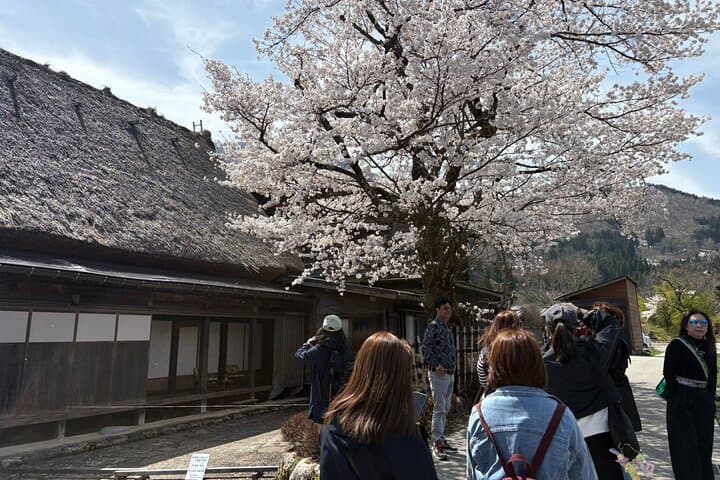 Shirakawa-go from Takayama/Nagoya One day Bus ticket — photo 4