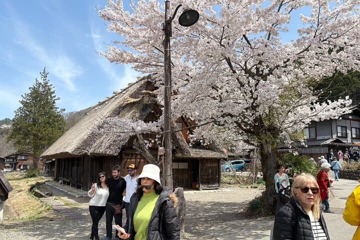 Shirakawa-go from Takayama/Nagoya One day Bus ticket — photo 3