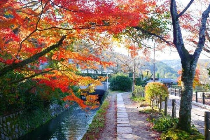 Bento and Bicycle Tour of Hidden Kyoto with Local Guides — photo 5