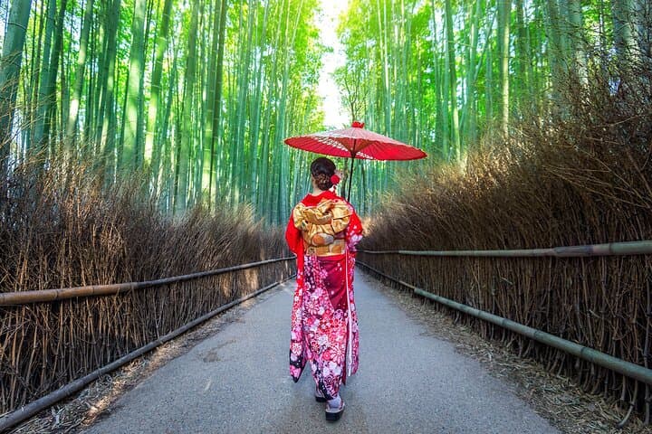 Fushimi Inari - Arashiyama: Torii Gates, Bamboo, Monkeys & Secret — photo 9