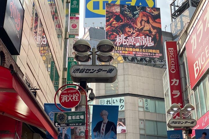 Shibuya Walking Tour: Crossing, Hidden Streets & Local Culture — photo 13