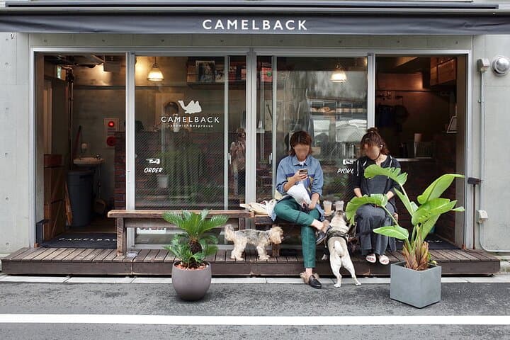 Shibuya Electric Bike Tour of Tokyo's Most Expensive Neighborhood — photo 9