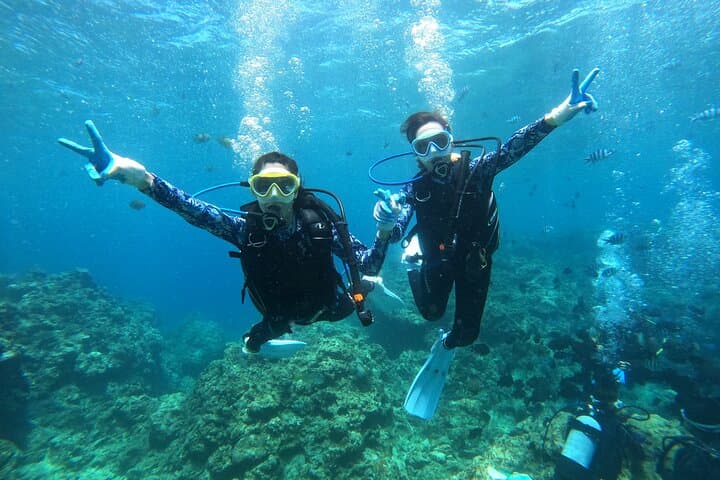 Blue Cave Private Group Introductory Diving Tour — photo 5