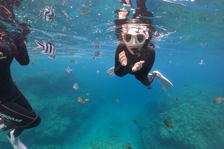Blue Cave Private Group Introductory Snorkeling Tour — photo 5