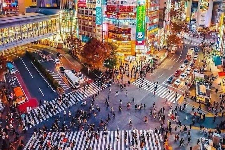 Tokyo Private Tour with an English speaking driver — photo 2