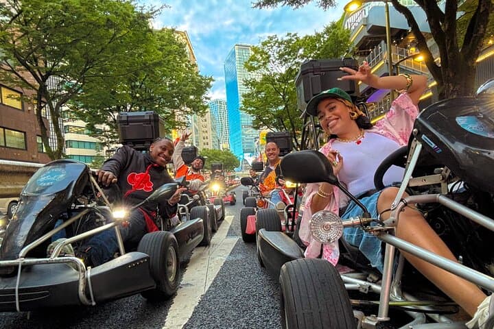 Ride Through The Streets Of Shibuya and Sinjuku By Go Kart — photo 6