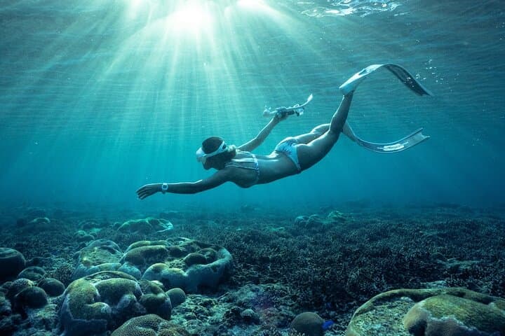 Private snorkeling tour Ishigaki island — photo 5