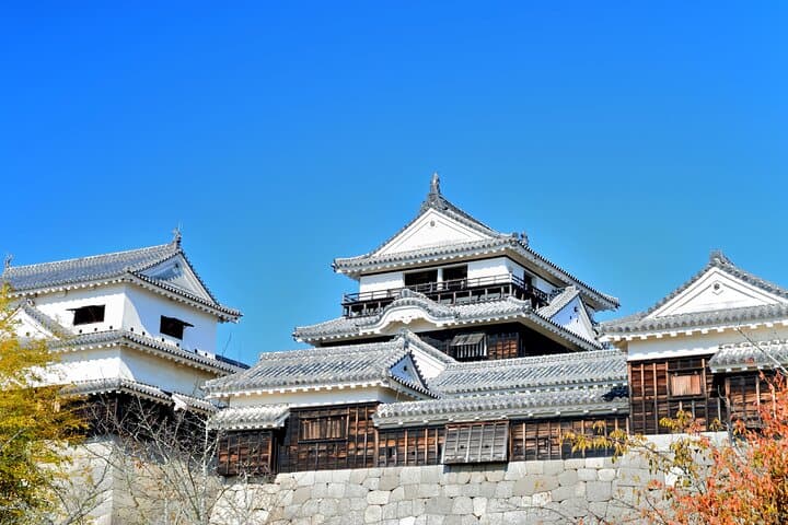 Matsuyama Private Tour for Shore Excursion — photo 4