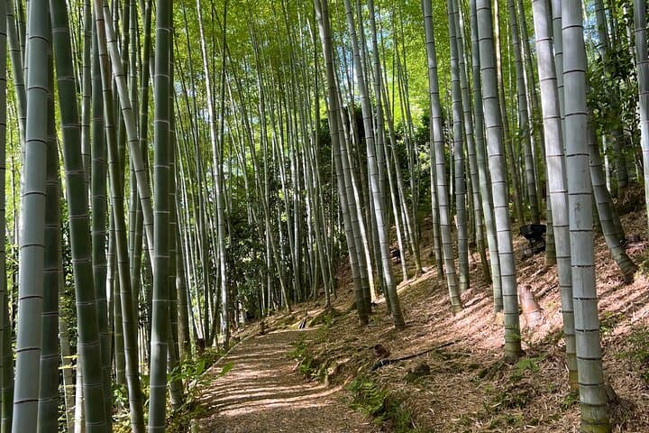 Higashiyama Private Walking Tour — Explore Kyoto with Two Locals — photo 7