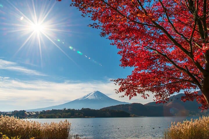Mt. Fuji & Hakushu Distillery Whisky Museum Bus Tour from Tokyo — photo 9